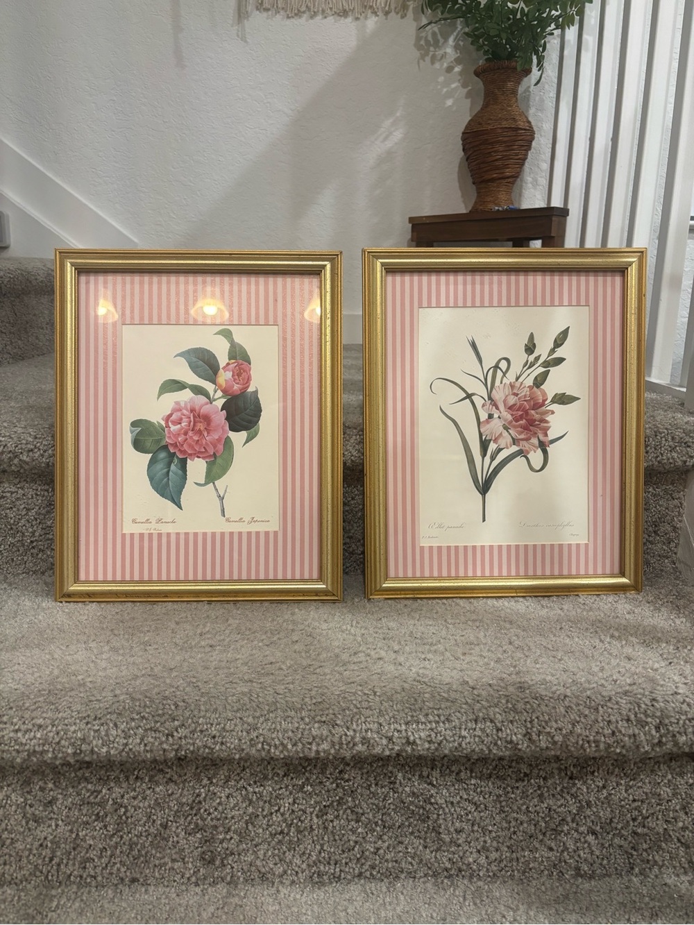 Vintage Floral Botanical Framed Wall Art Set of 2; Cottage core; Grandmillennial
